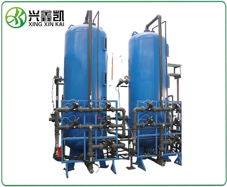 阴阳离子交换器 